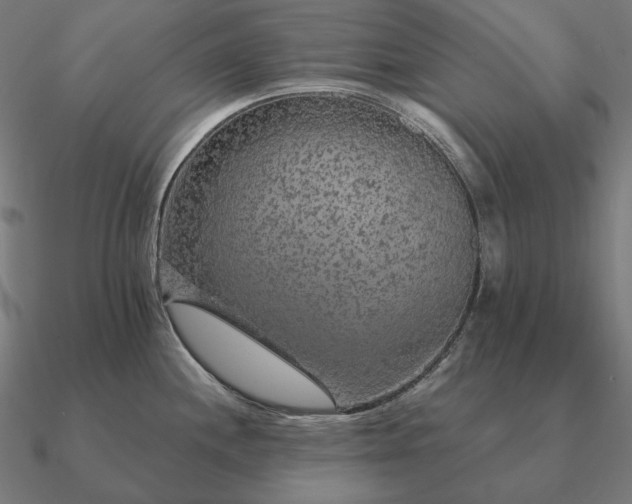 X0000090911244200708061516