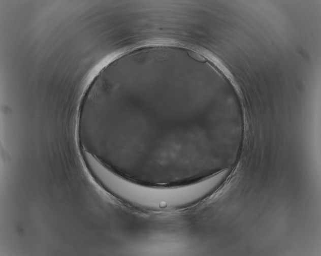 X0000090911245200708061516