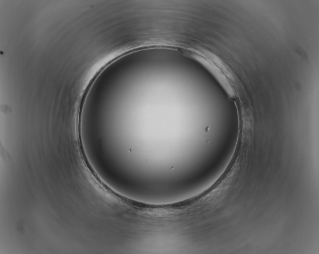 X0000090911246200708061517