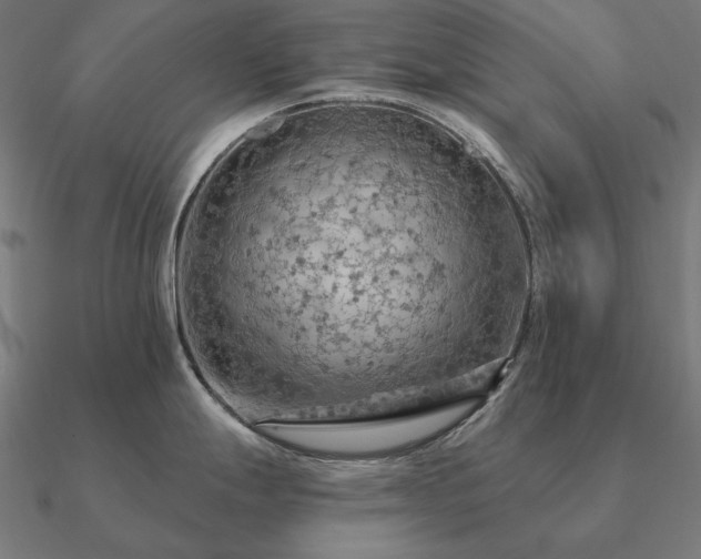 X0000090911247200708061517