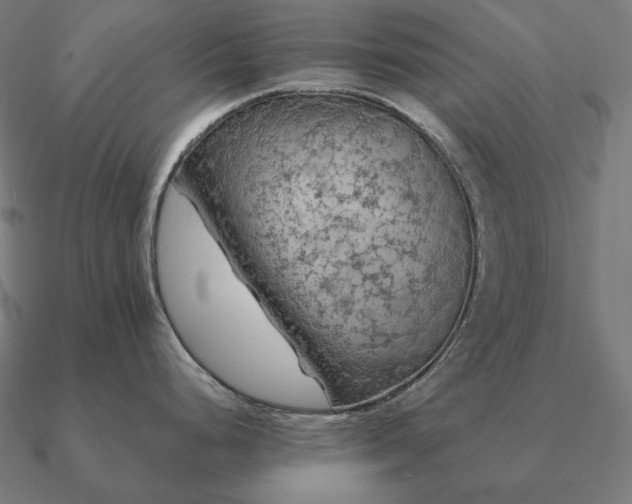 X0000090911248200708061517