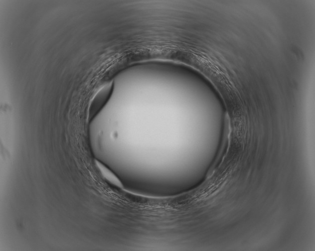 X0000090911249200708061516