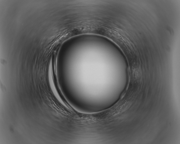 X0000090911250200708061516