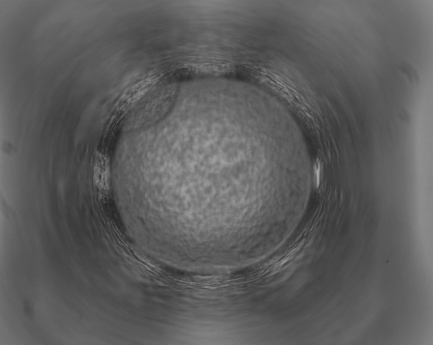 X0000090911251200708061516