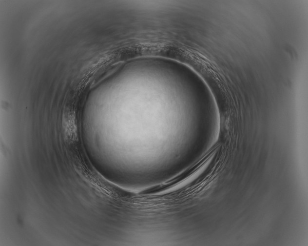 X0000090911252200708061516