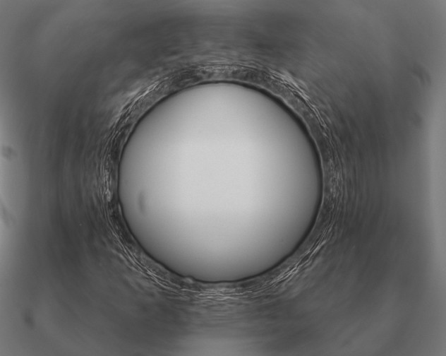 X0000090911253200708061516