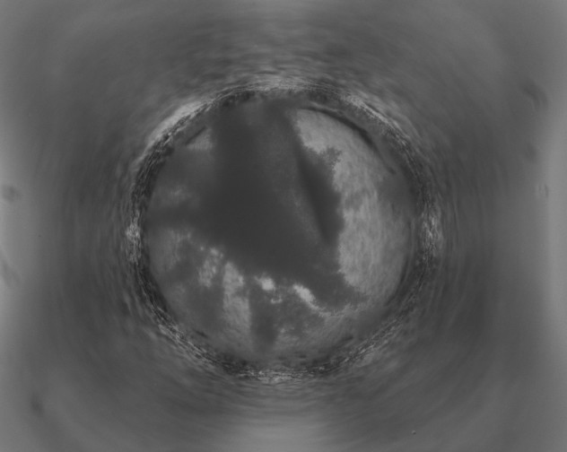 X0000090911254200708061516