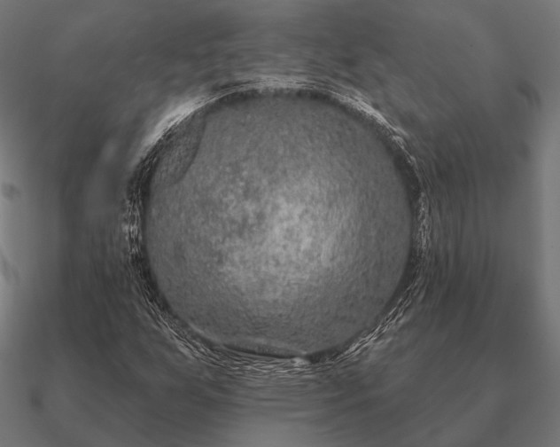 X0000090911255200708061516