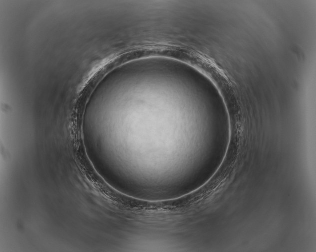 X0000090911256200708061516