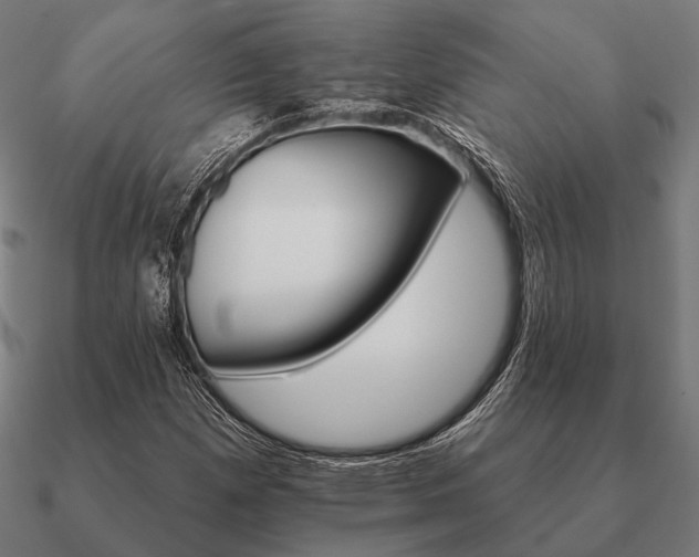 X0000090911257200708061516