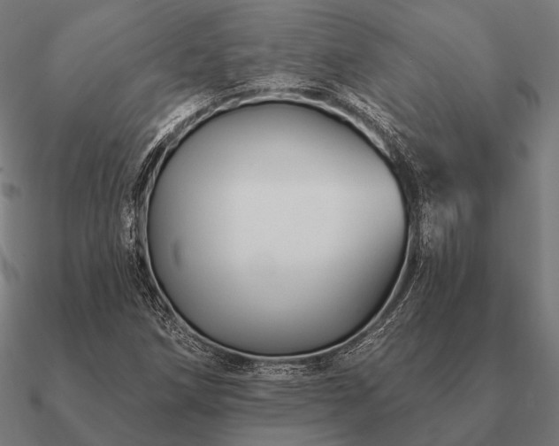 X0000090911258200708061516