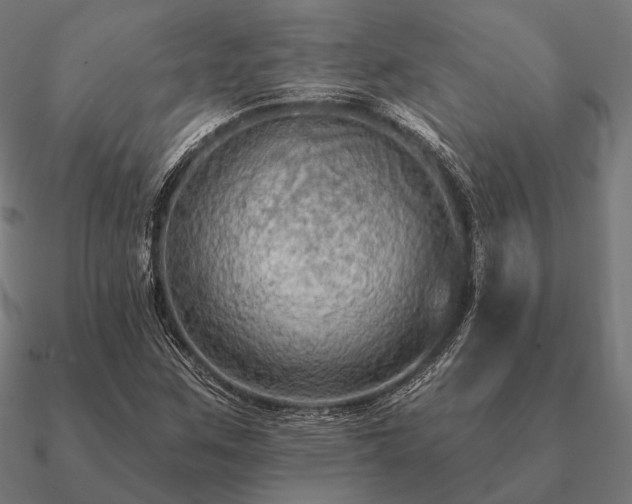 X0000090911259200708061516