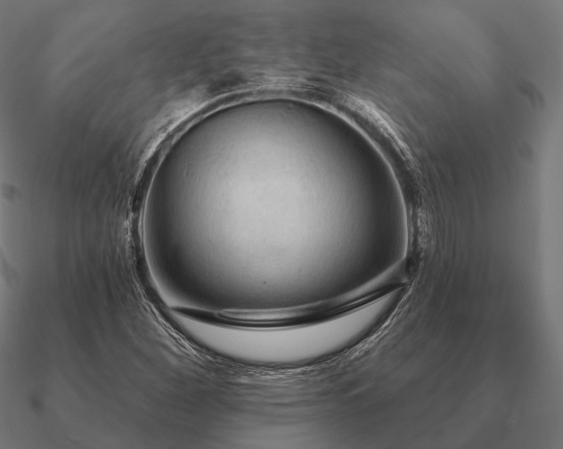 X0000090911260200708061516