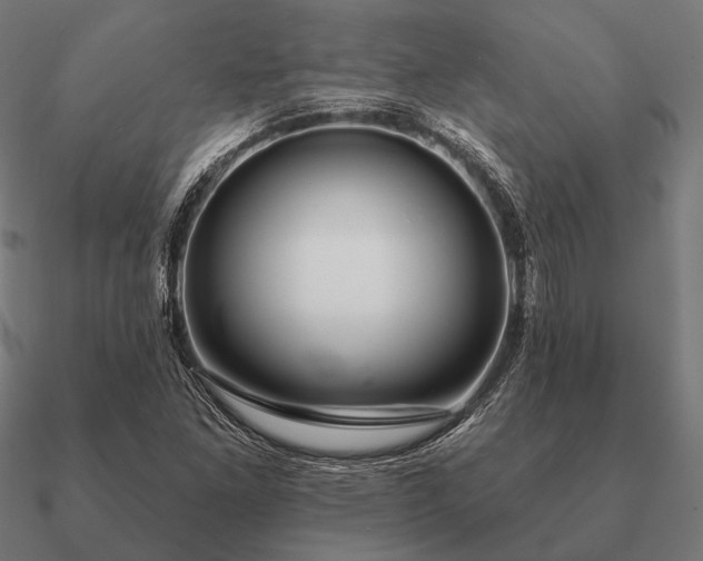 X0000090911261200708061516