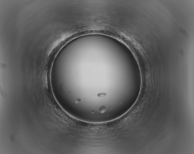 X0000090911262200708061516