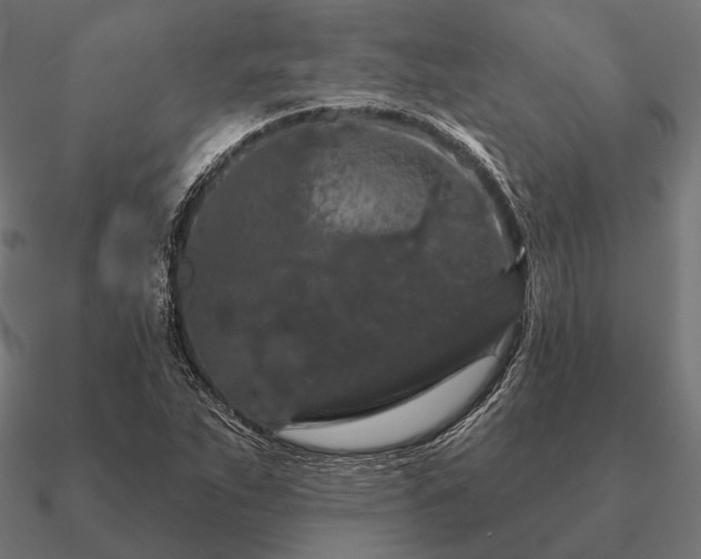 X0000090911263200708061516