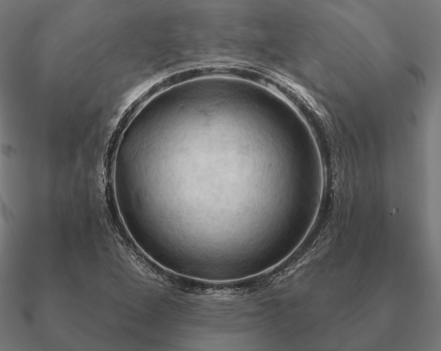 X0000090911264200708061516