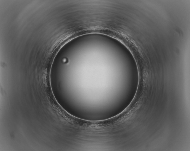 X0000090911265200708061516