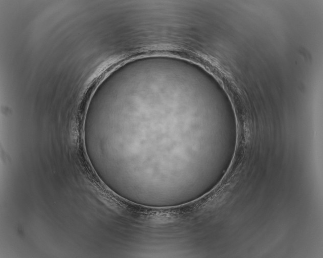 X0000090911266200708061516