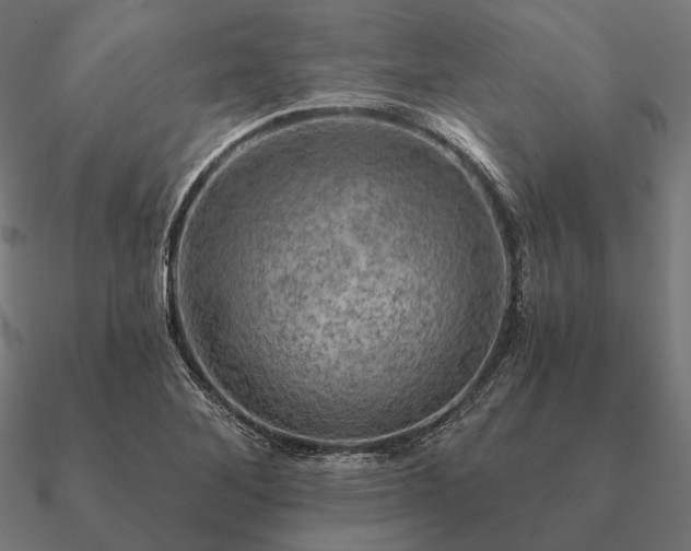 X0000090911268200708061516