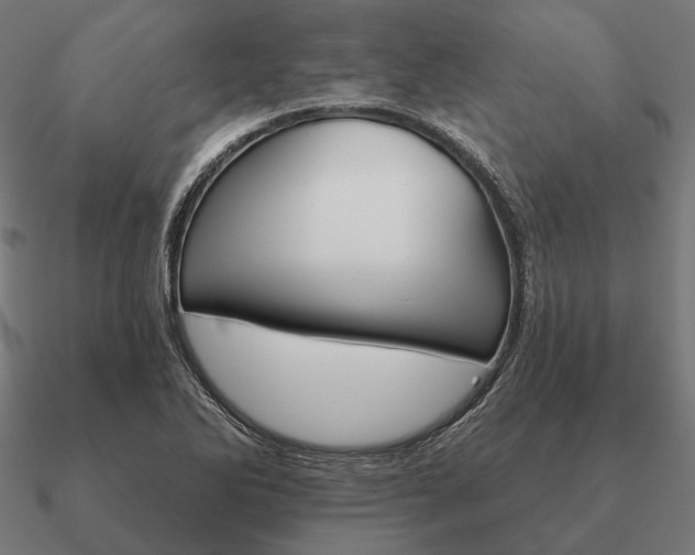 X0000090911270200708061516