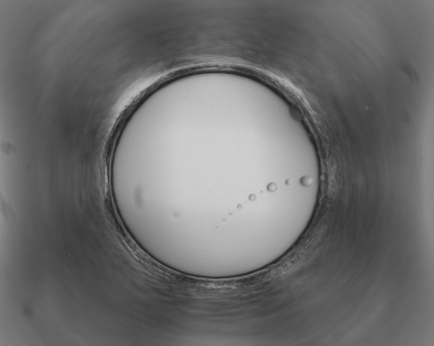 X0000090911271200708061516