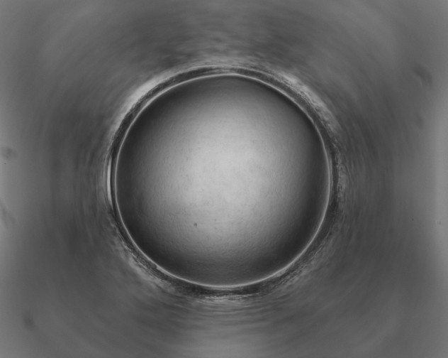 X0000090911272200708061516