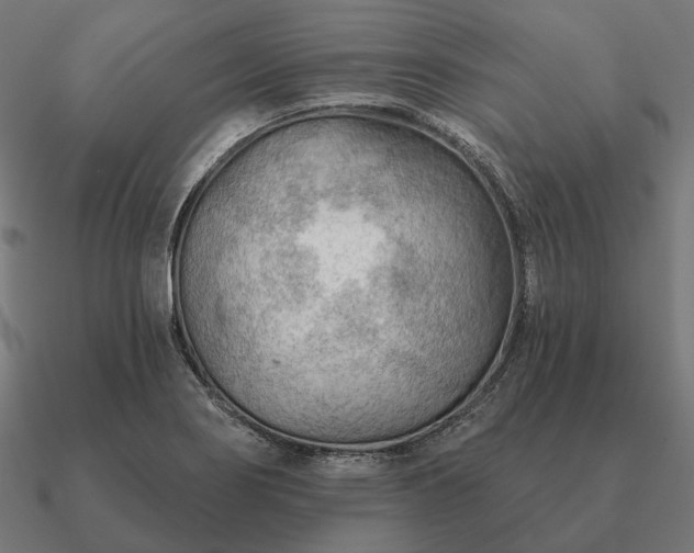 X0000090911274200708061516