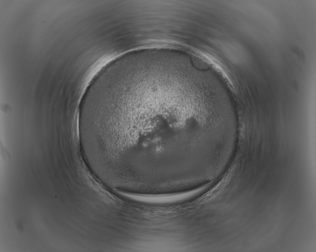 X0000090911275200708061516