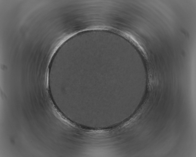 X0000090911276200708061515