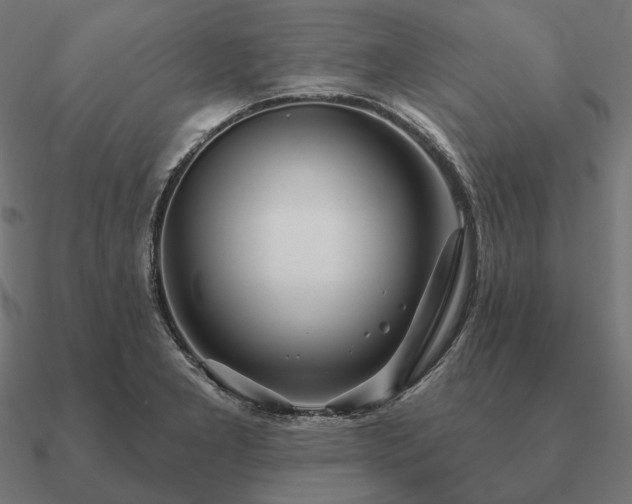 X0000090911277200708061515