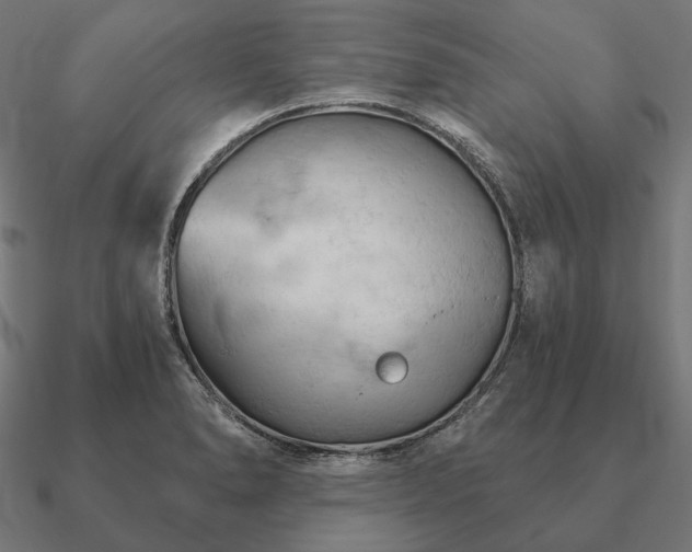 X0000090911278200708061515