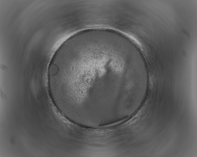 X0000090911279200708061515