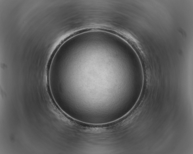 X0000090911280200708061515