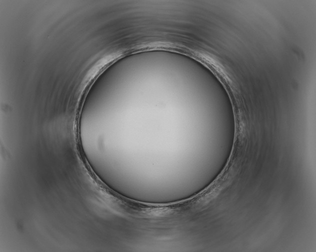 X0000090911282200708061515