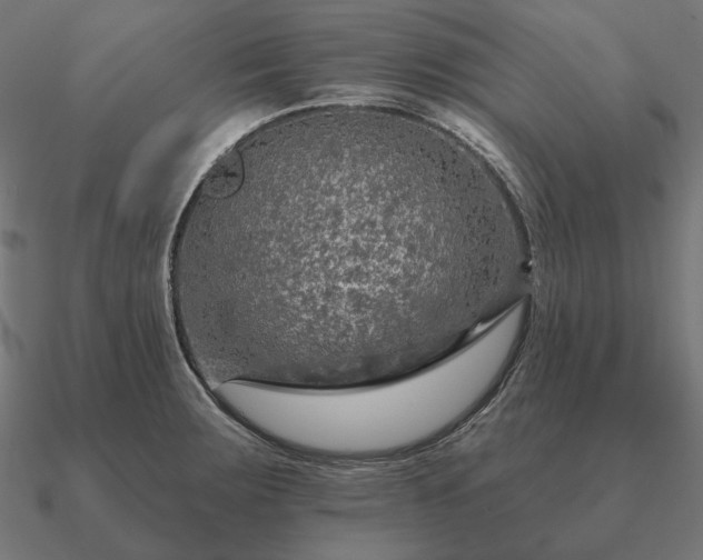 X0000090911283200708061515