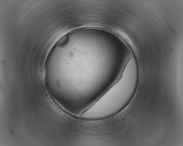 X0000090911284200708061515