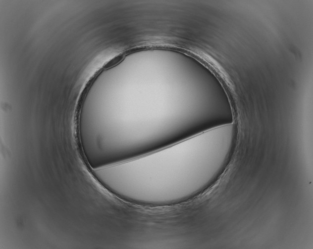 X0000090911285200708061515