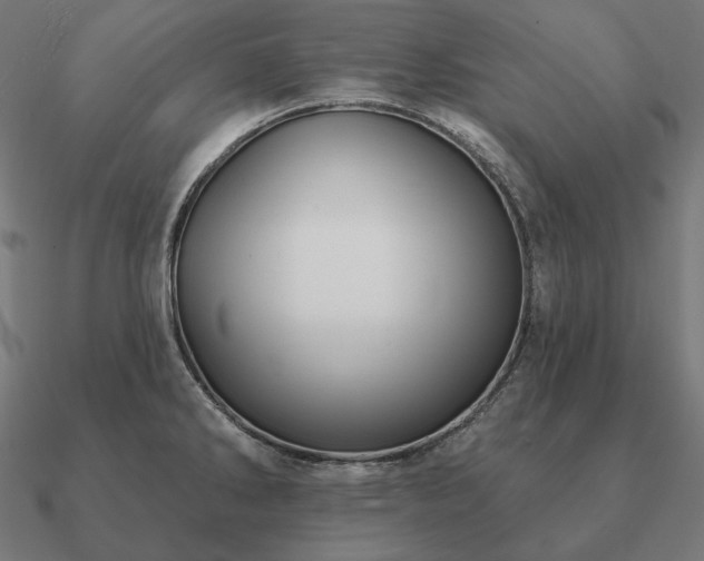 X0000090911286200708061515