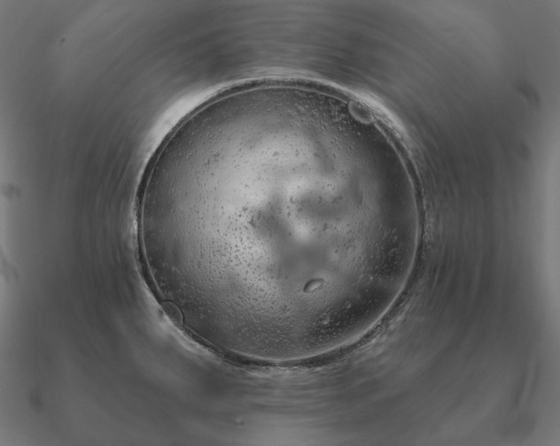 X0000090911287200708061515