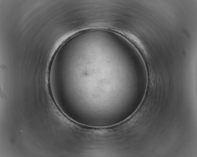 X0000090911288200708061515