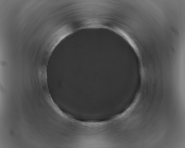 X0000090911289200708061515