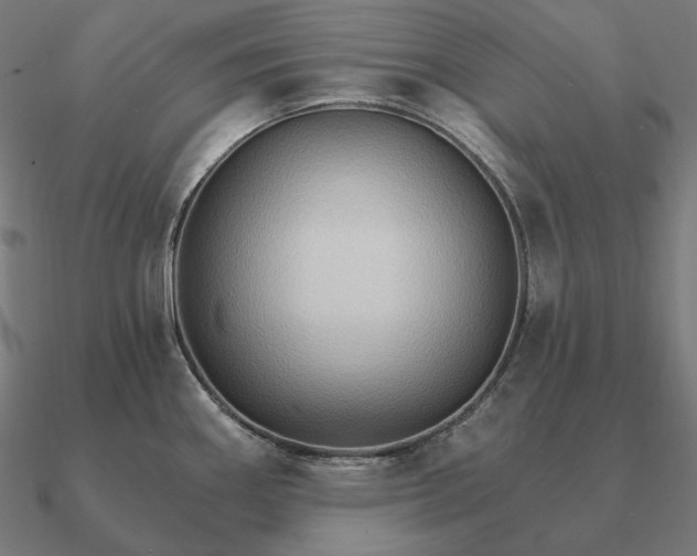 X0000090911290200708061515