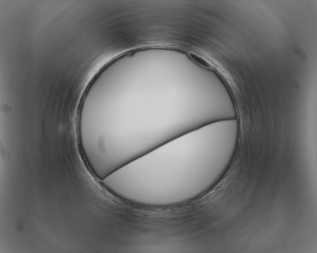 X0000090911291200708061515