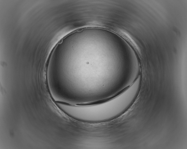 X0000090911292200708061515