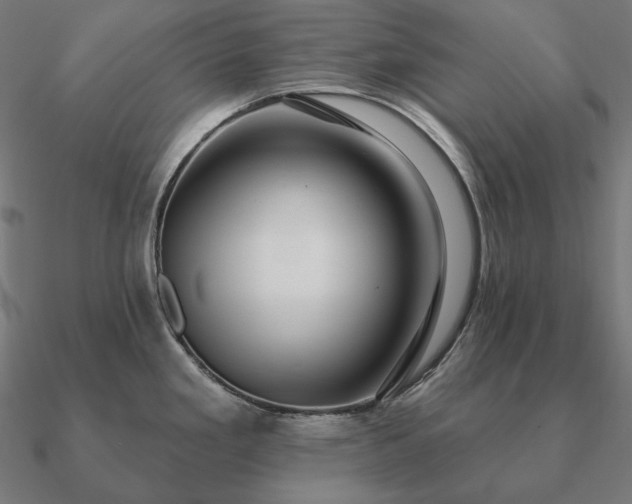 X0000090911293200708061515