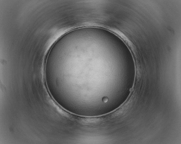 X0000090911294200708061515