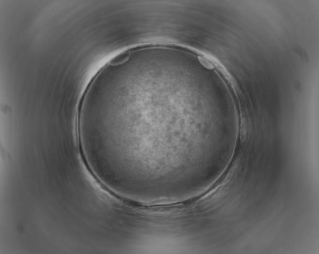 X0000090911295200708061515