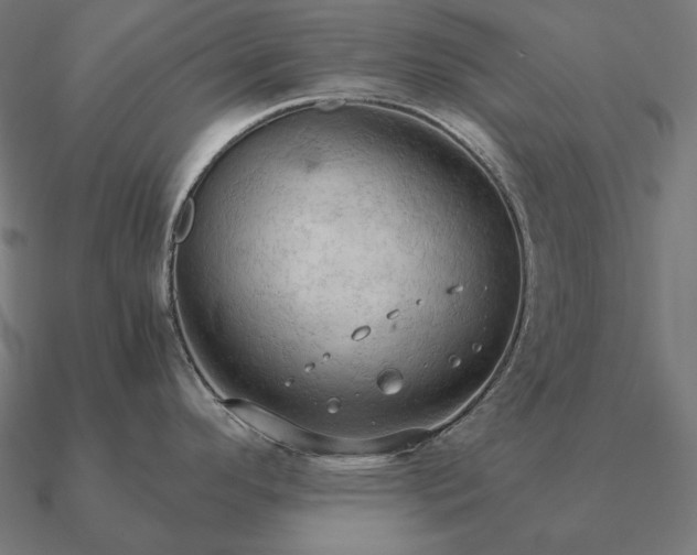 X0000090911296200708061515