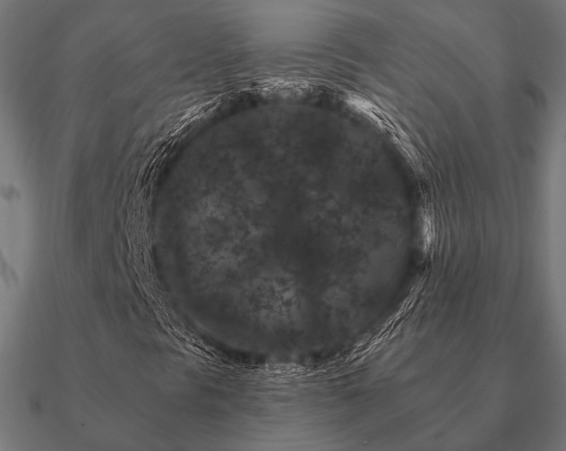 X0000090911297200708061515